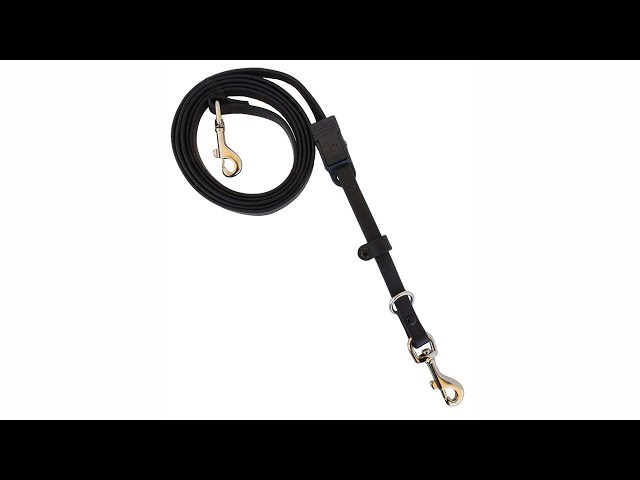 Preview: Pro-Training Hands-Free Leash