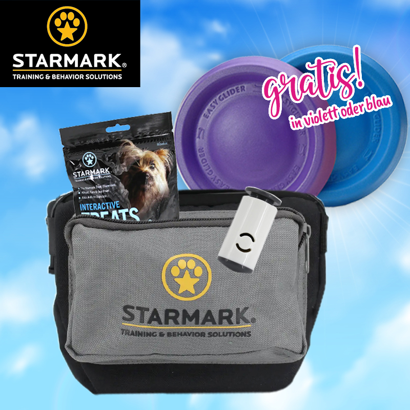 Hunde Sommer Special Hunde Sommer Special