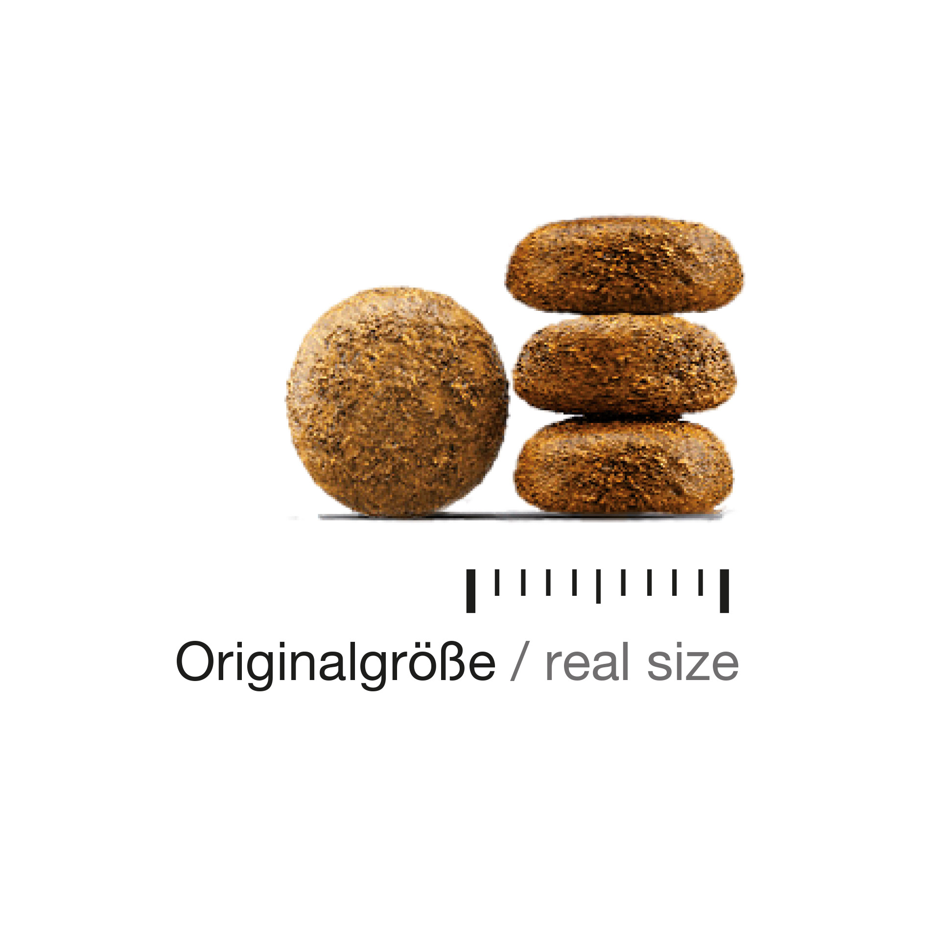 kittysfarm_garden_krokettenWp1uhzjPaun9r