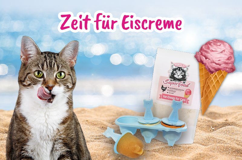 Rabatt Aktion Shop Eis Set Katze