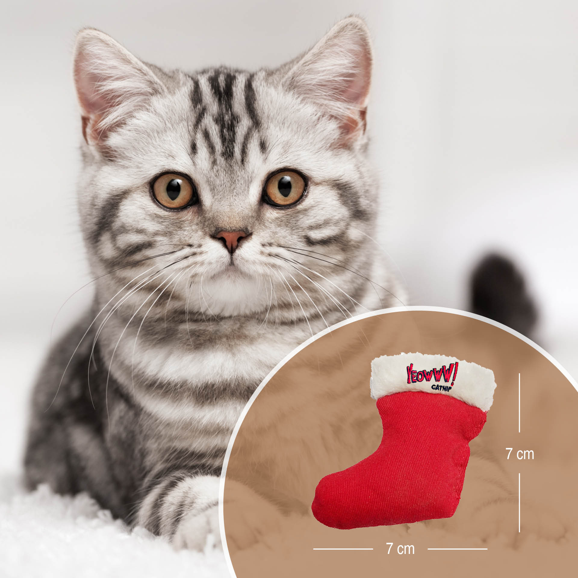 4633-Stiefel_04