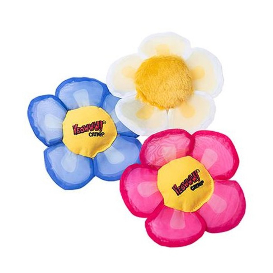 Yeowww-Gaensebluemchen-drei Farben