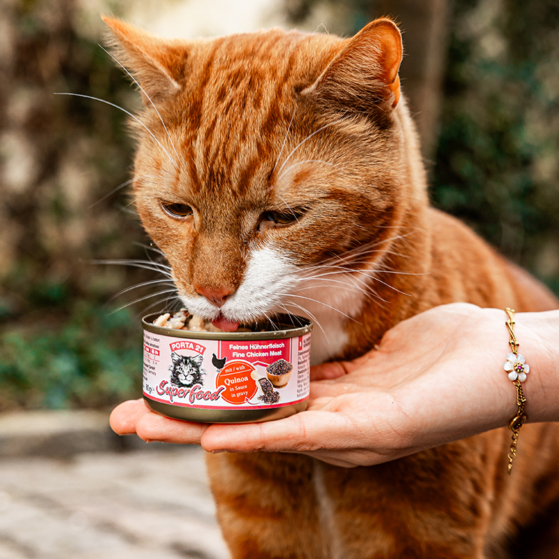 portapet_superfood_h-hnchen-quinoa_de-mulder-bo