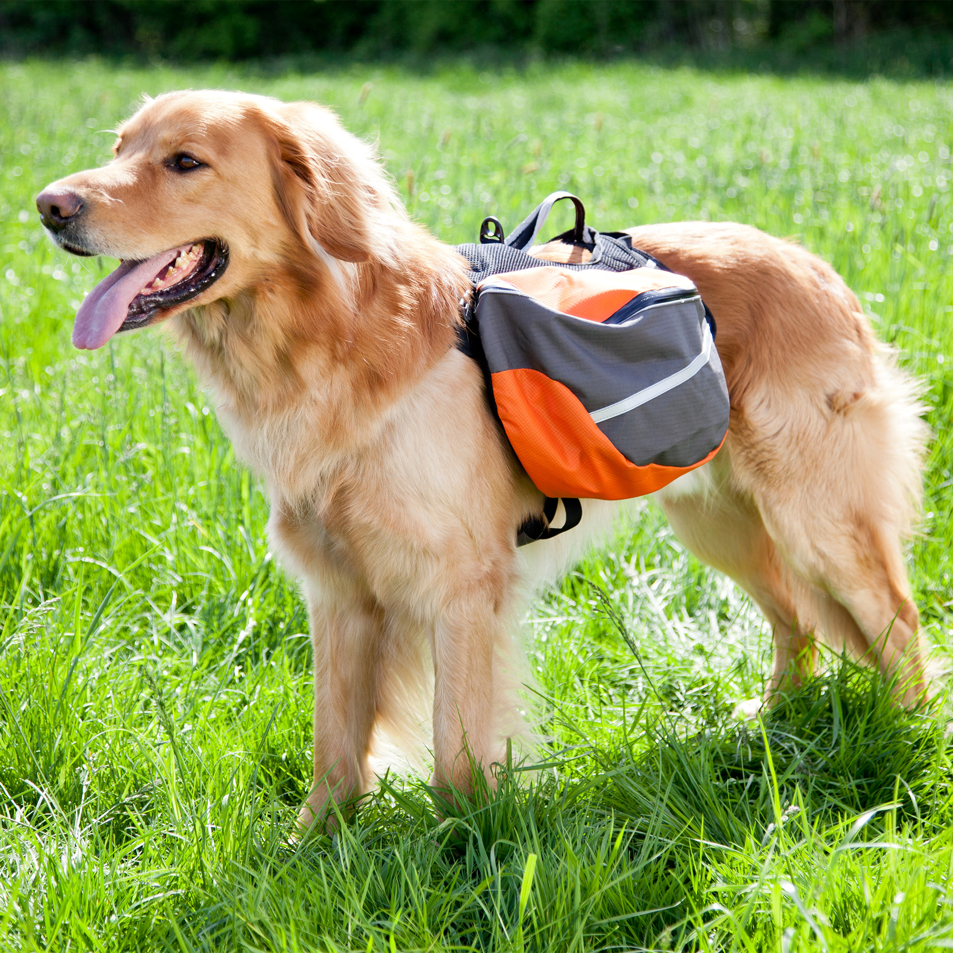Rucksack_LeadAndTravel_03