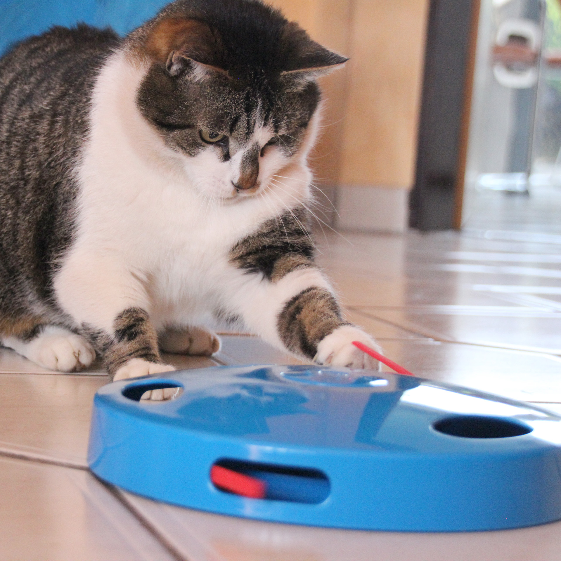 TailSpin-Chase_6806_04