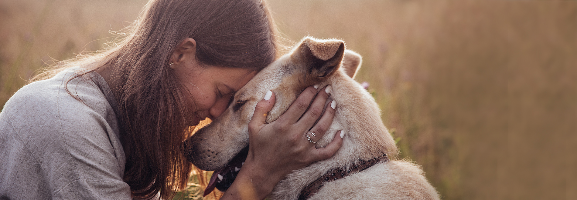 Blog Hund Blog - mein Hund und ich