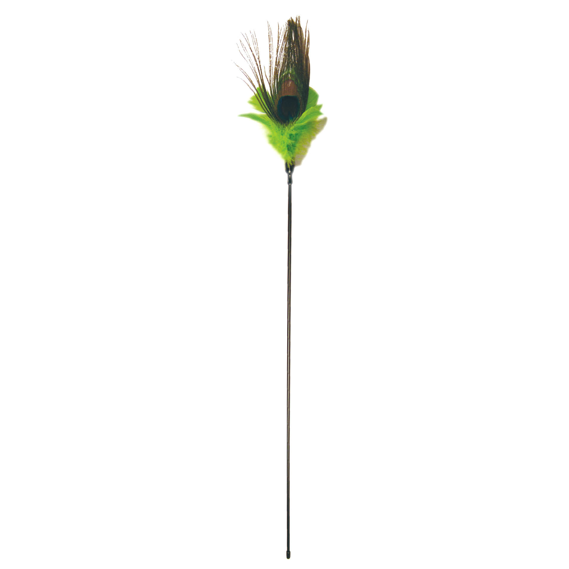 PURRfectPeacockFeather_4515_02