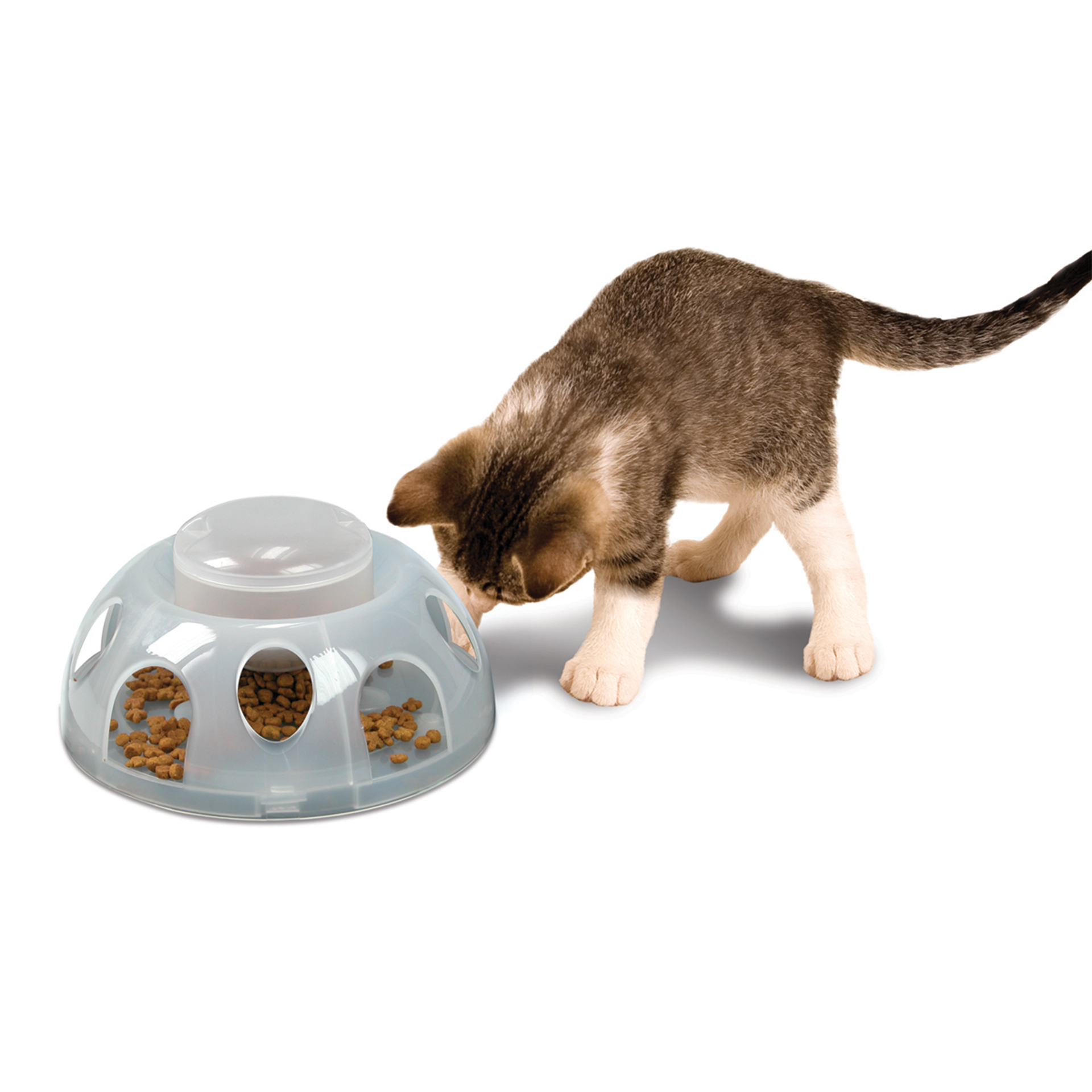 TigerDiner_transparent_16038_06GZN9qfLjXXYDr