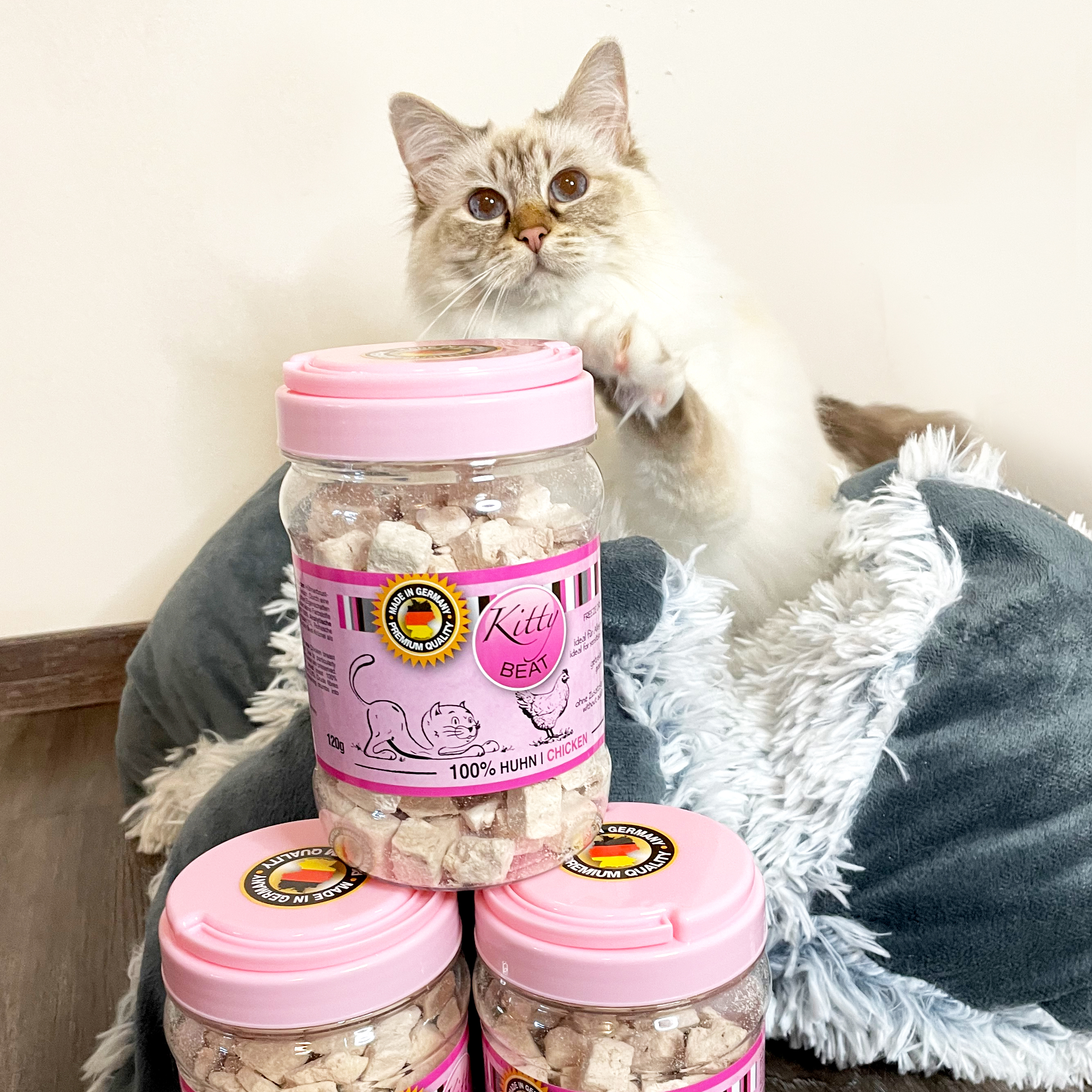 portapet_kitty-beat_sabrina-krichel_2