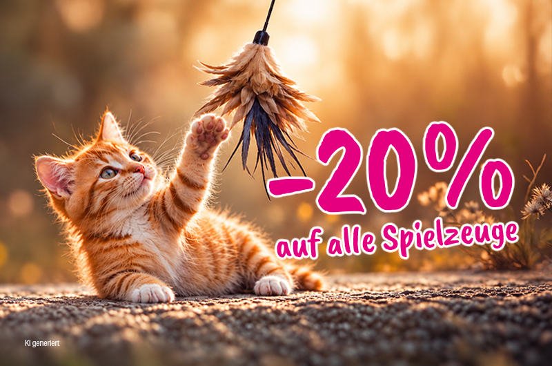 Shop-Spielzeuge 20-Hund-rechts-EN Shop-Spielzeuge 20-Hund-rechts-EN