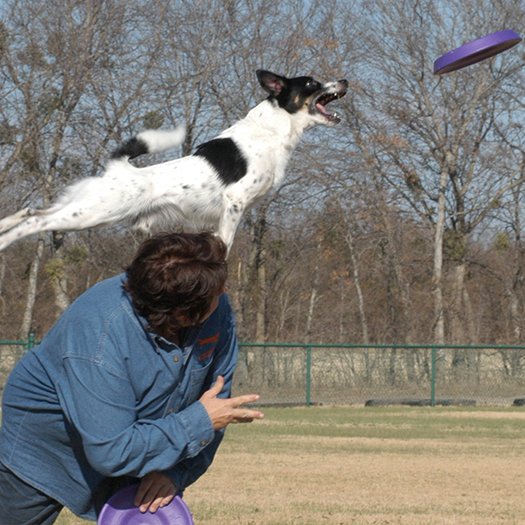 shop-starmark-easy-glider-lila-training