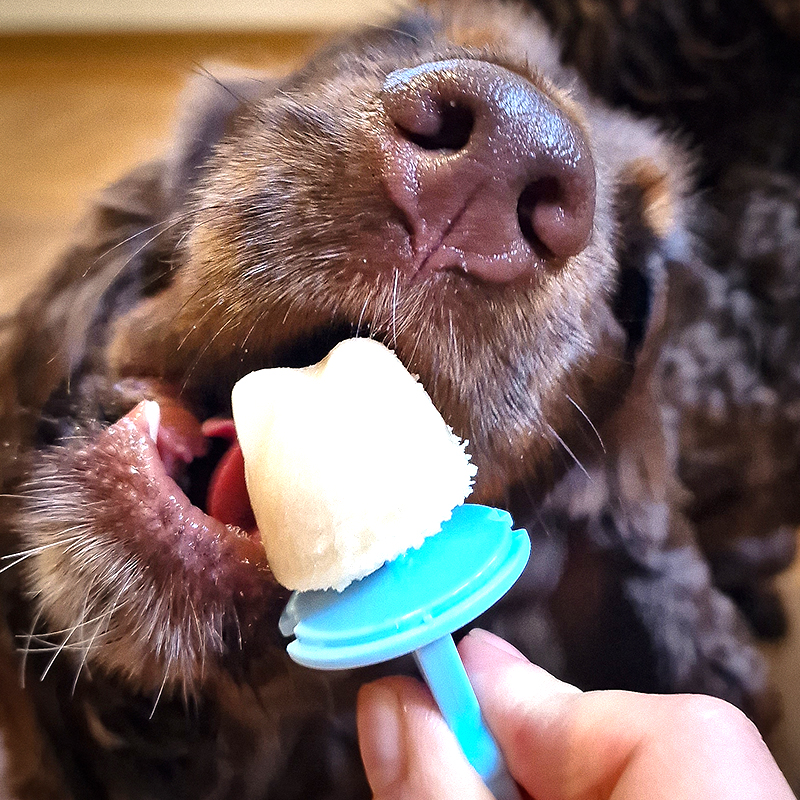 eismischung_pia-schmidt_3