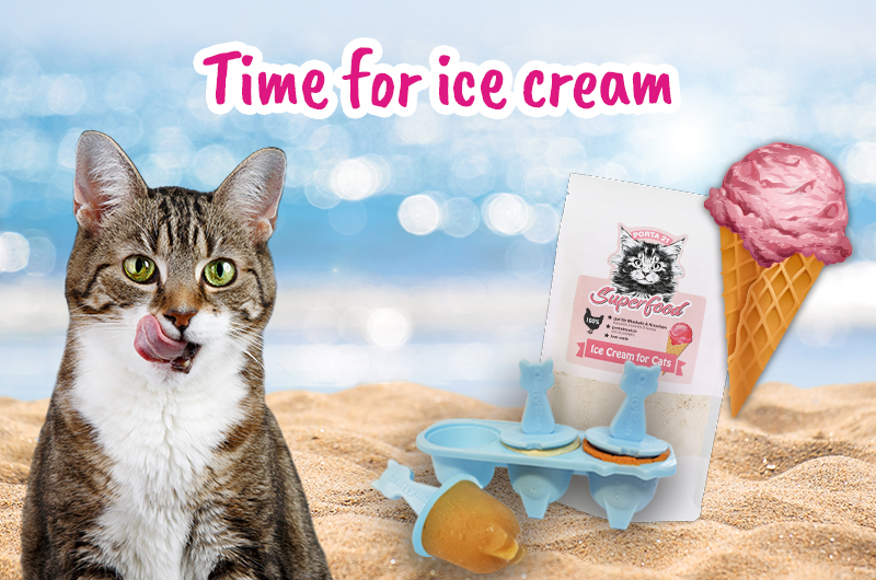 Discount promotion shop ice cream set cat