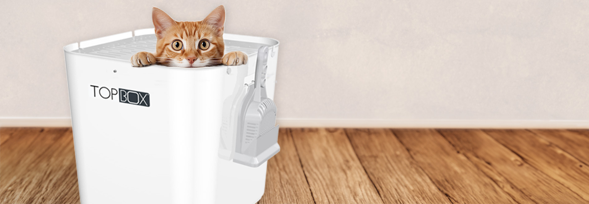 Katzentoiletten und Zubehör Katze guckt aus Katzentoilette mit Öffnung oben