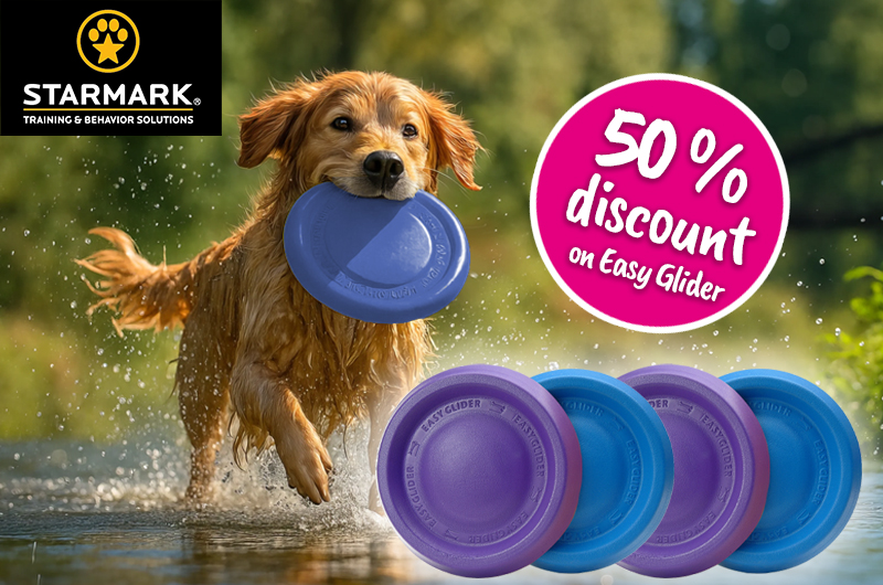 Promotional offer August 2025 50 percent discount