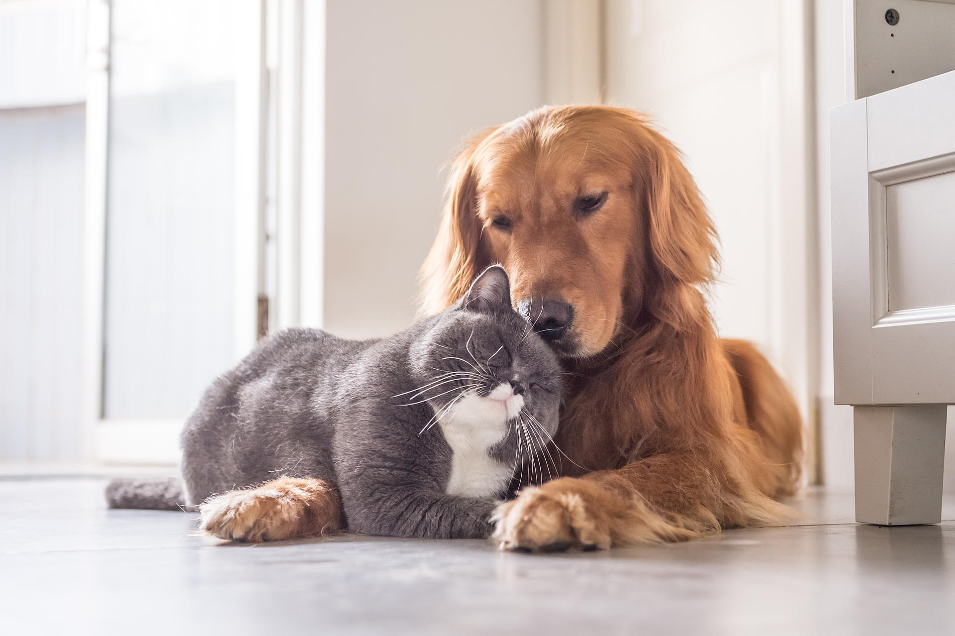 über uns über uns - portapet.de, der Onlineshop von Schulze Heimtierbedarf