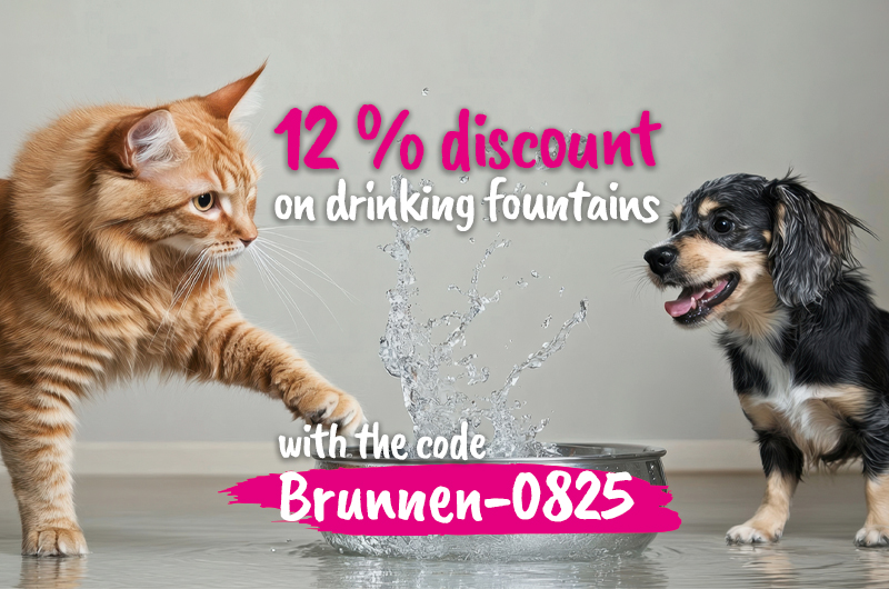 12% promotional offer on drinking fountains in August