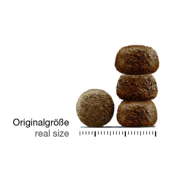 schulzesbest_littlelove_korketten