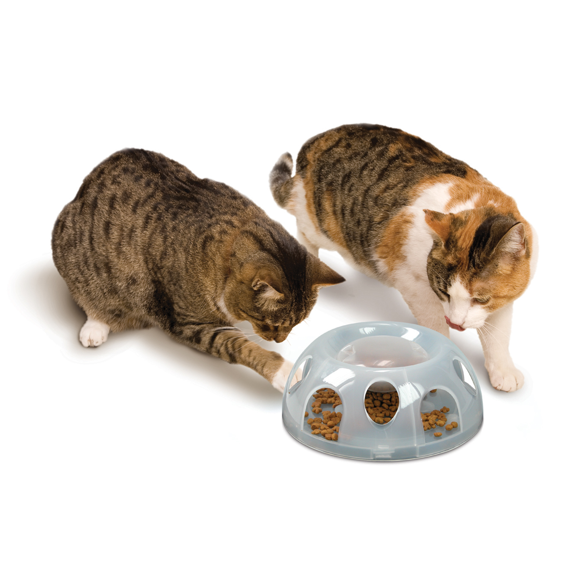 TigerDiner_transparent_16038_05SS3izP3MDWv3s