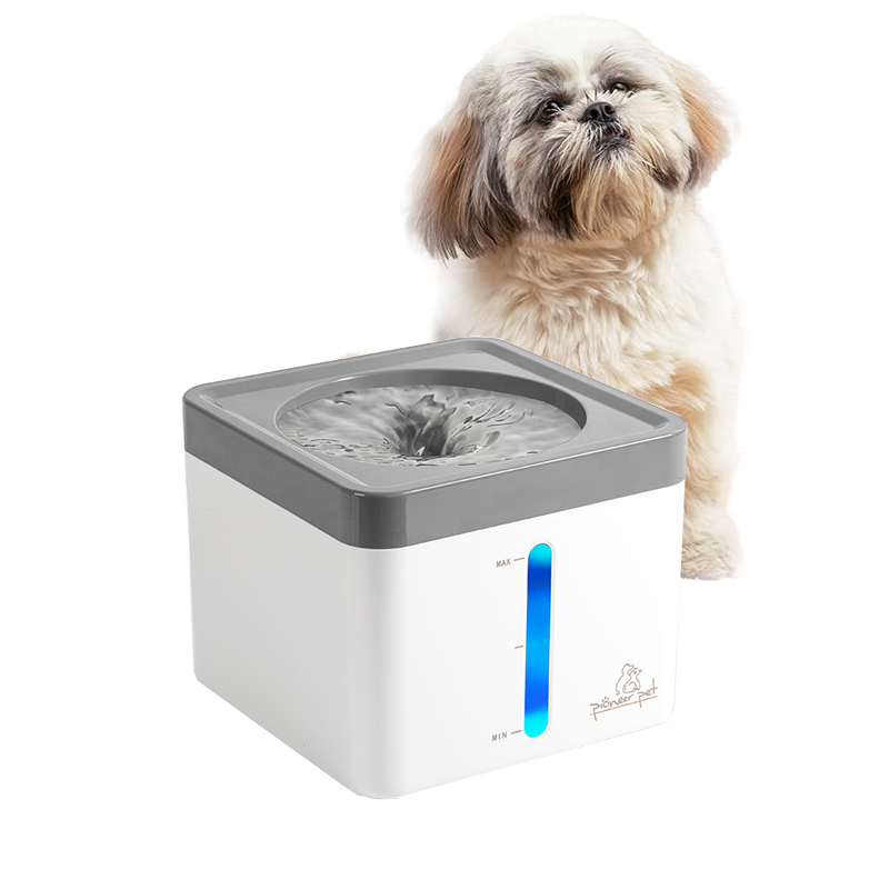 Mini Vortex mit Hund
