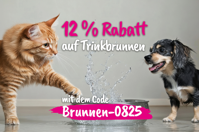 12% Promotion Aktion Trinkbrunnen im August 