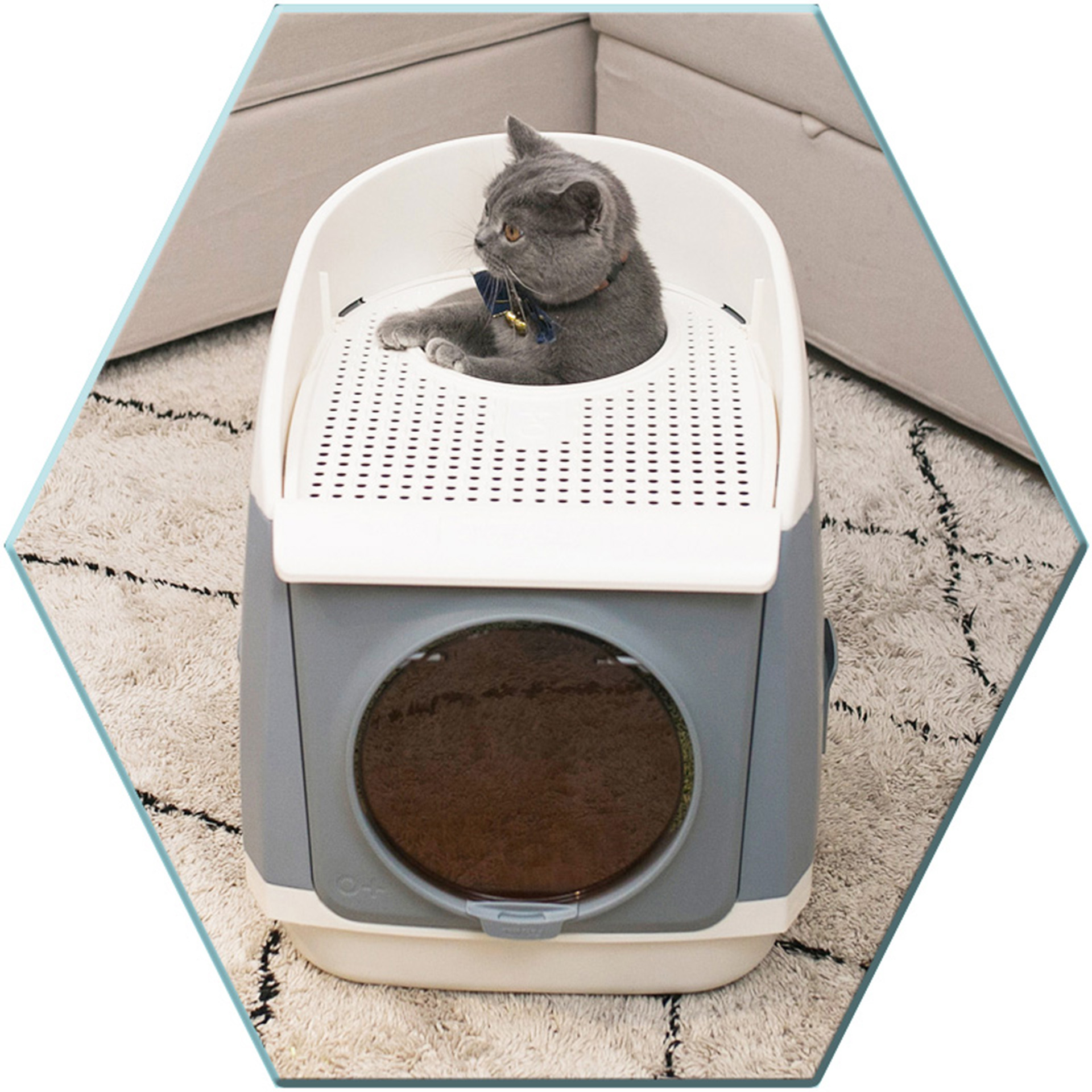 CatResidence_grau_4106_08