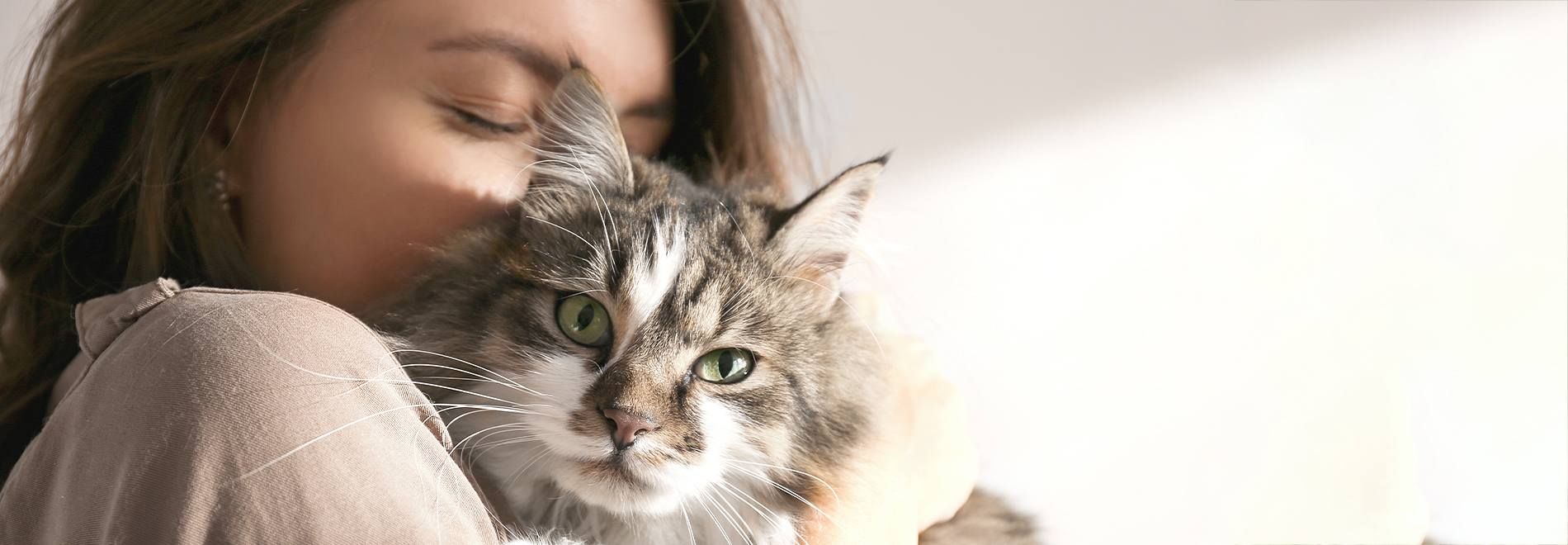 Blog Katze Blog - meine Katze und ich