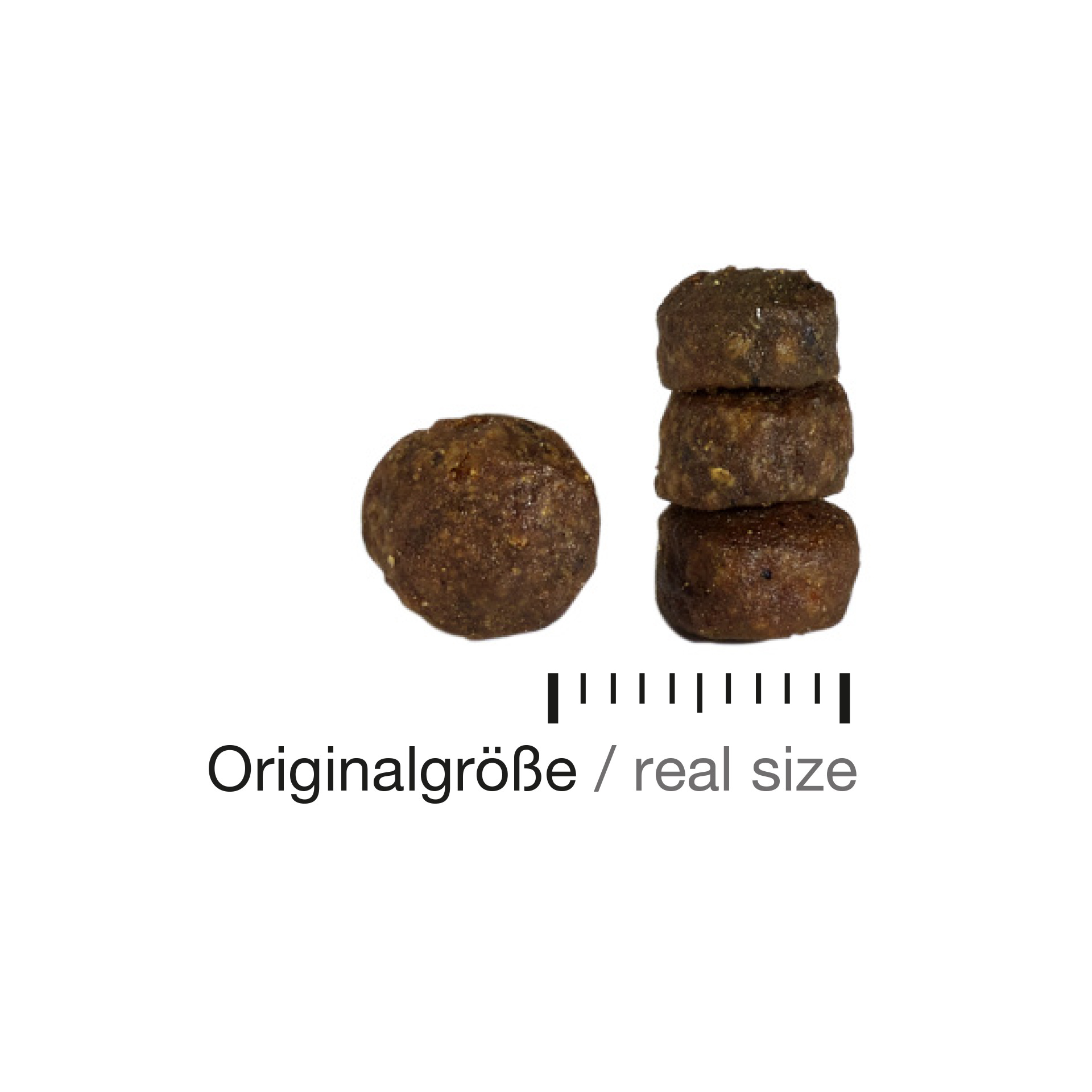 felinefinest_sensible-ocean_kroketten