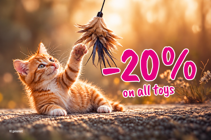 Shop-Spielzeuge 20-Katze-links-EN
