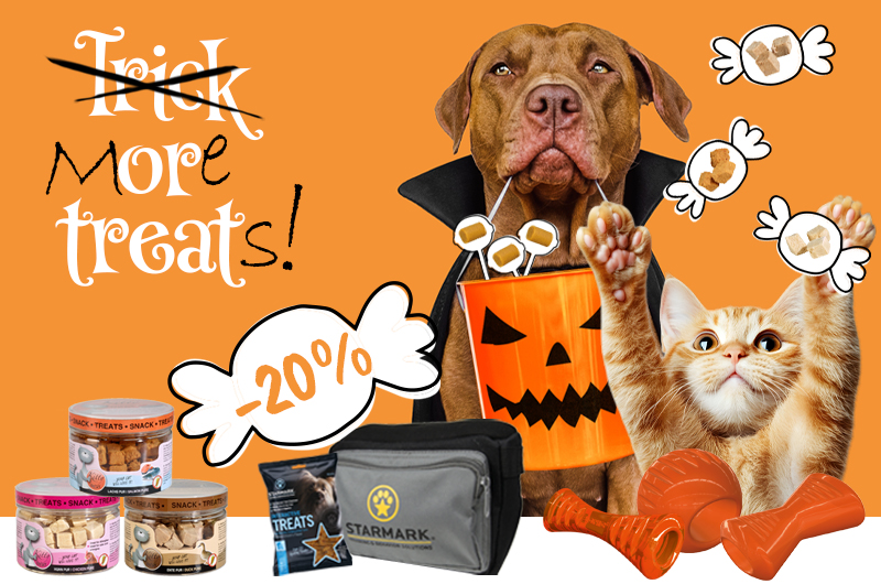 20 Prozent Angebot Halloween Special 20 Prozent Angebot Halloween Special