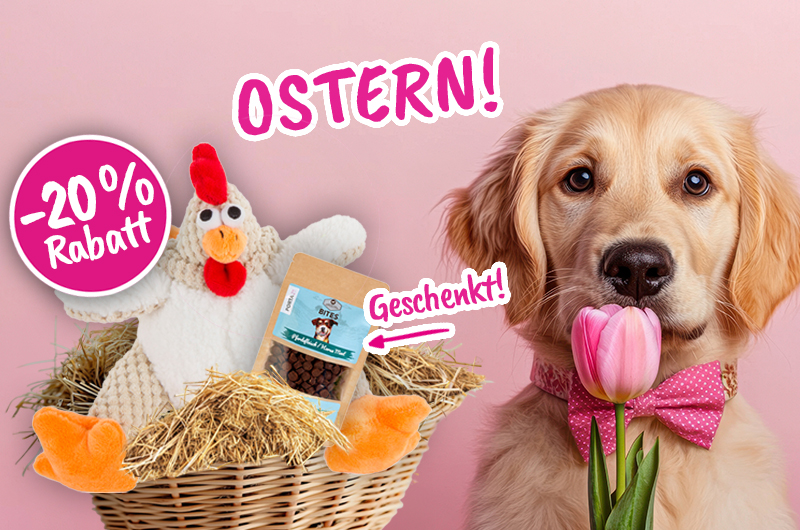 shopkachel_portapet-3-26-ostern hund-DE shopkachel_portapet-3-26-ostern hund-DE