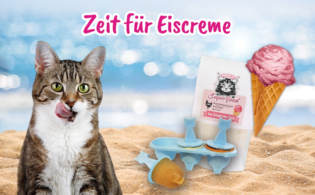 Rabatt Aktion Shop Eis Set Katze