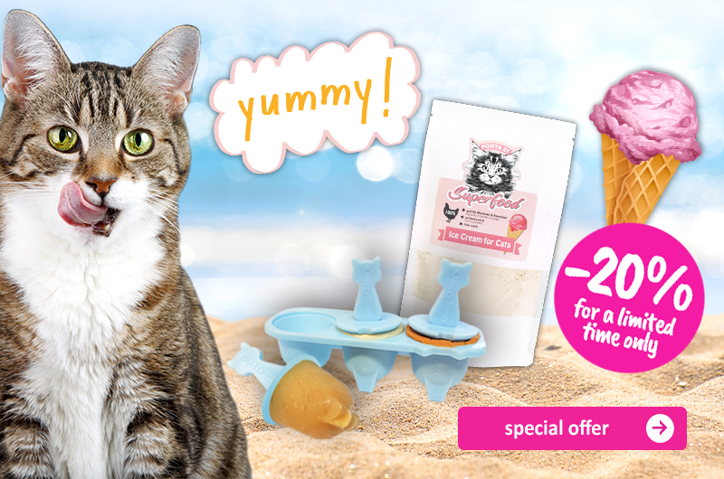 2307-ShopBanner-Aktion-Eis-Katze-GB 2307-ShopBanner-Aktion-Eis-Katze-GB