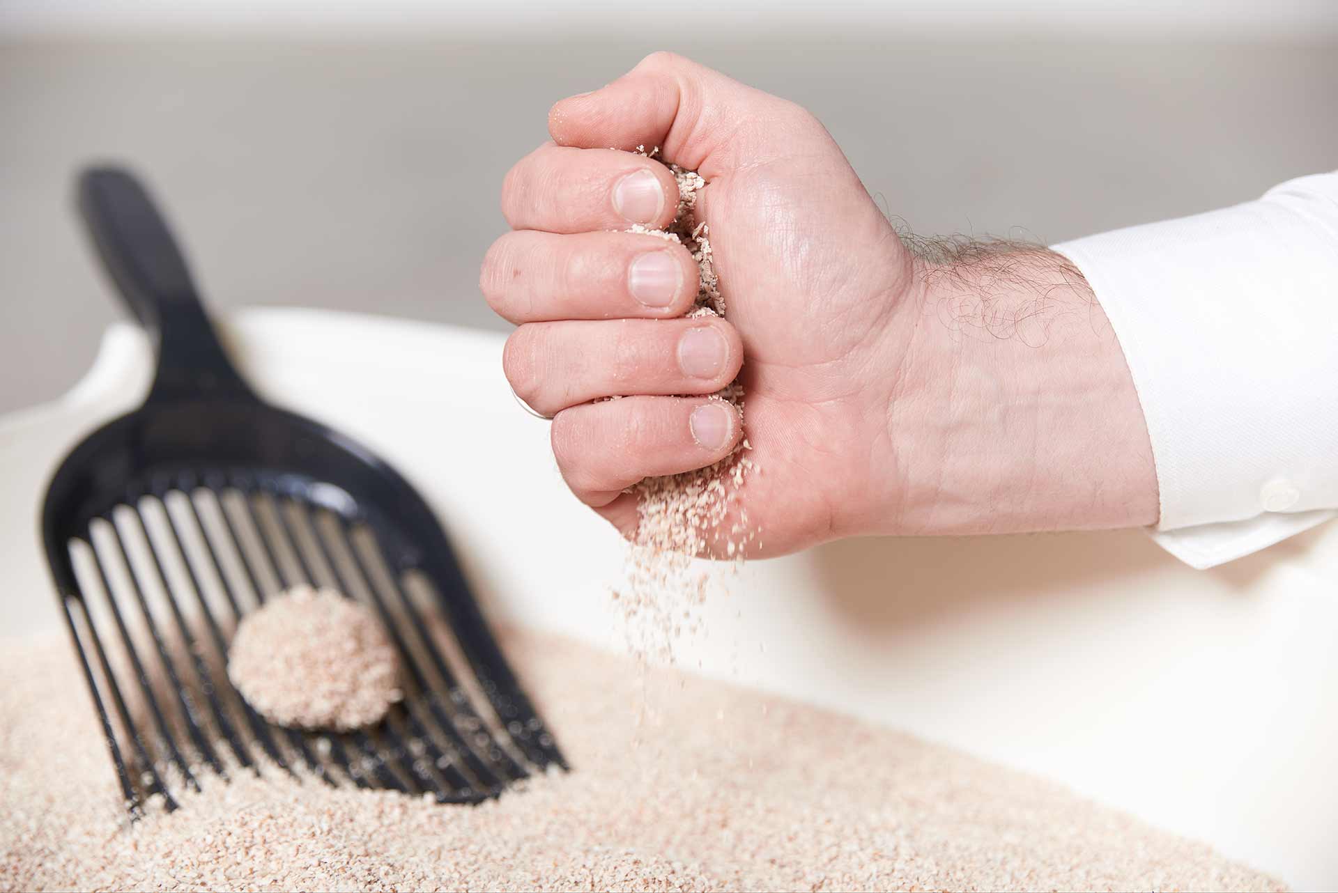 SoftCat_Detail SoftCat Streu rieselt durch Hand