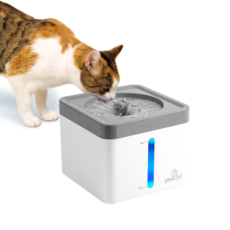 Mini Vortex mit Katze Mini Vortex mit Katze