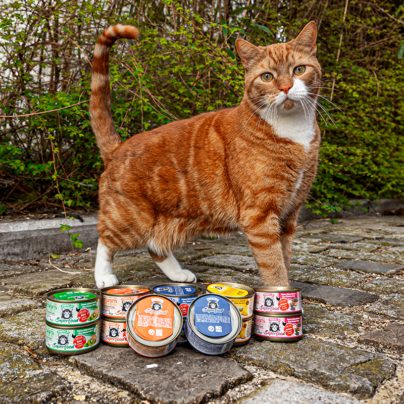 portapet_superfood_de-mulder-bo7b5pyCWsL41F4