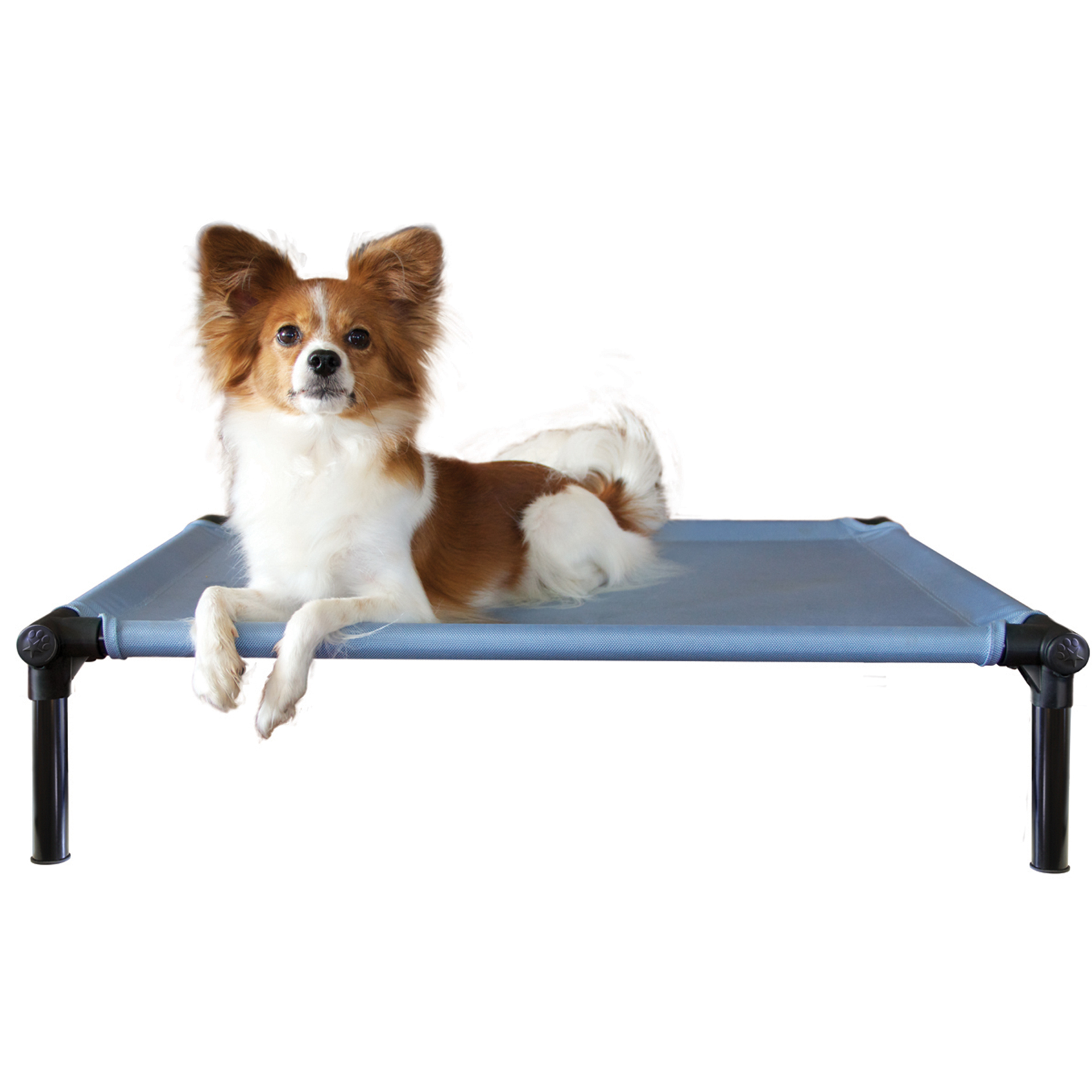 Dogzone_blue_03kdhFNvOhPbUHJ DogZone ProTraining Bett himmelblau