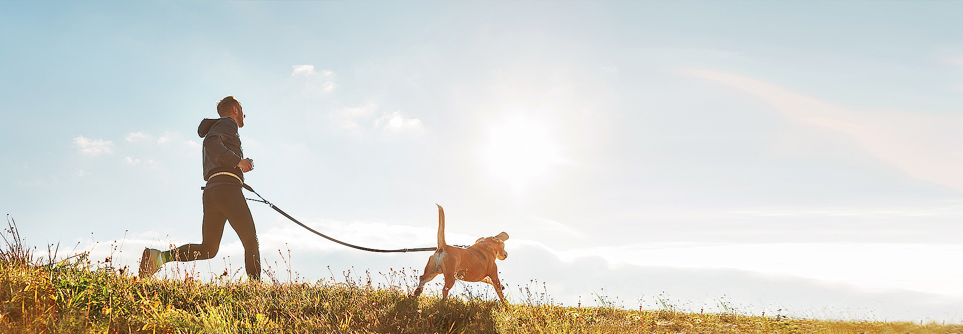 Joggen mit Trainingsleine Hund neben Jogger an der Leine