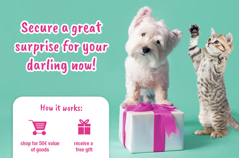 Gift promotion from EUR 50 July 2025