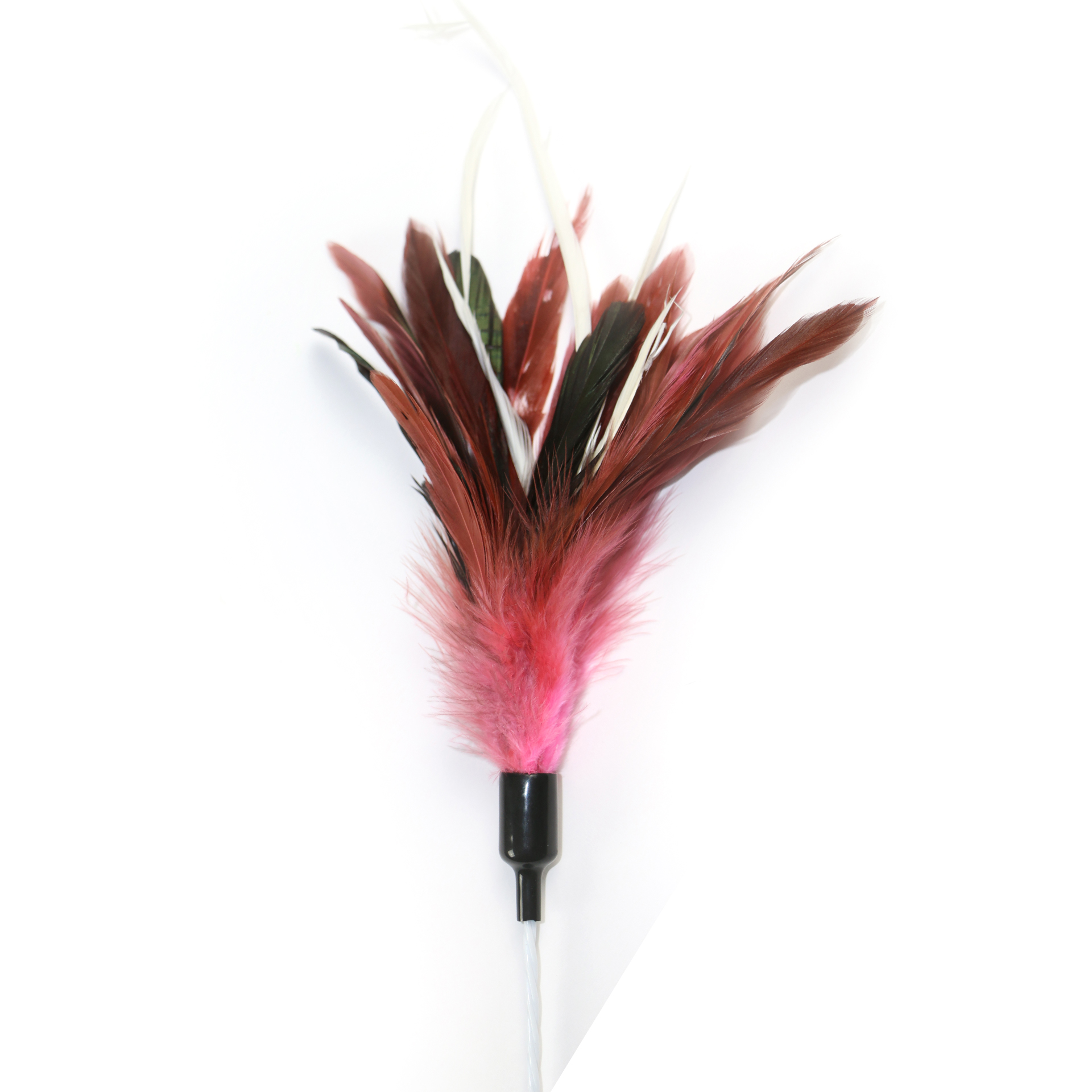 Day Dream Katzenspielfeder rot