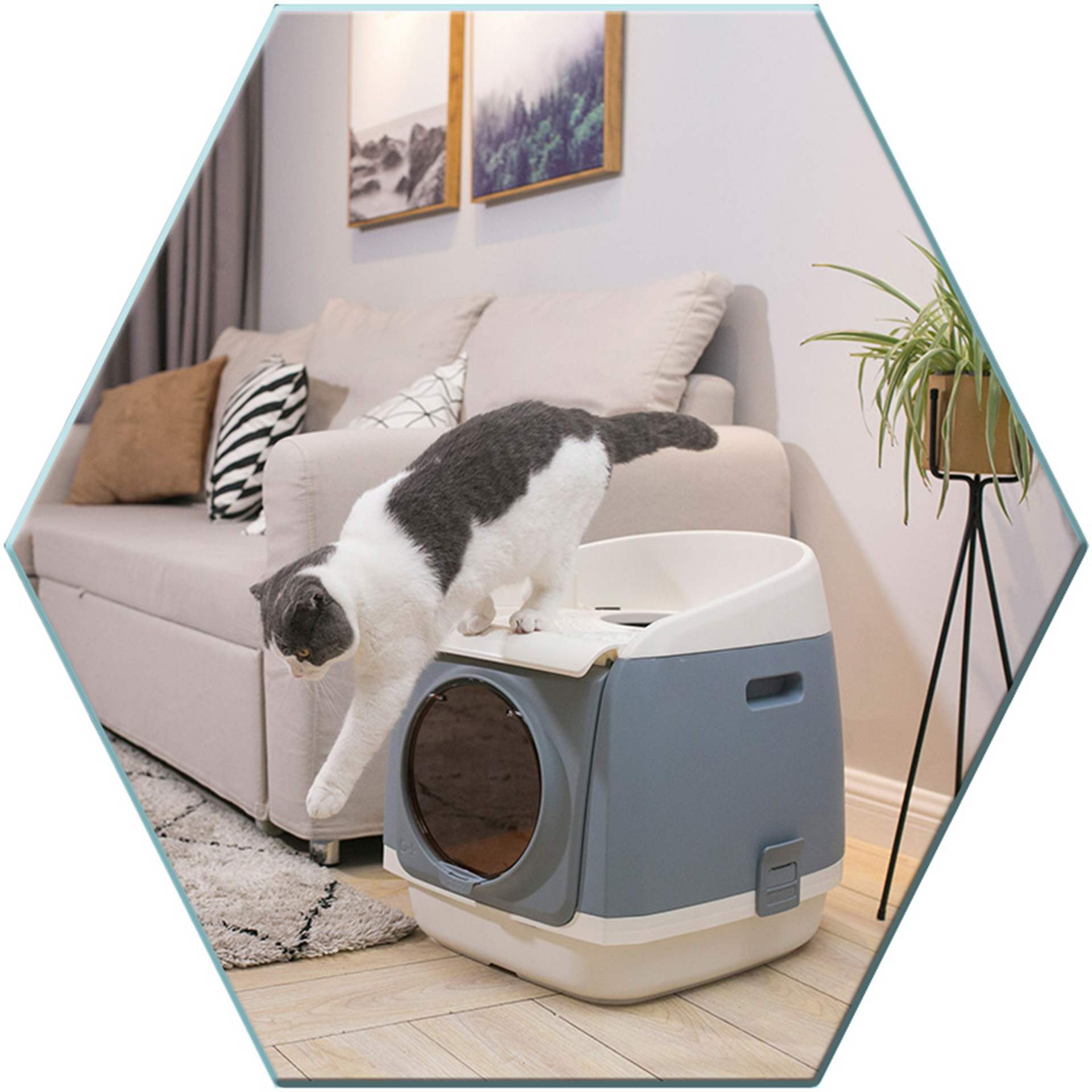 CatResidence_grau_4106_07