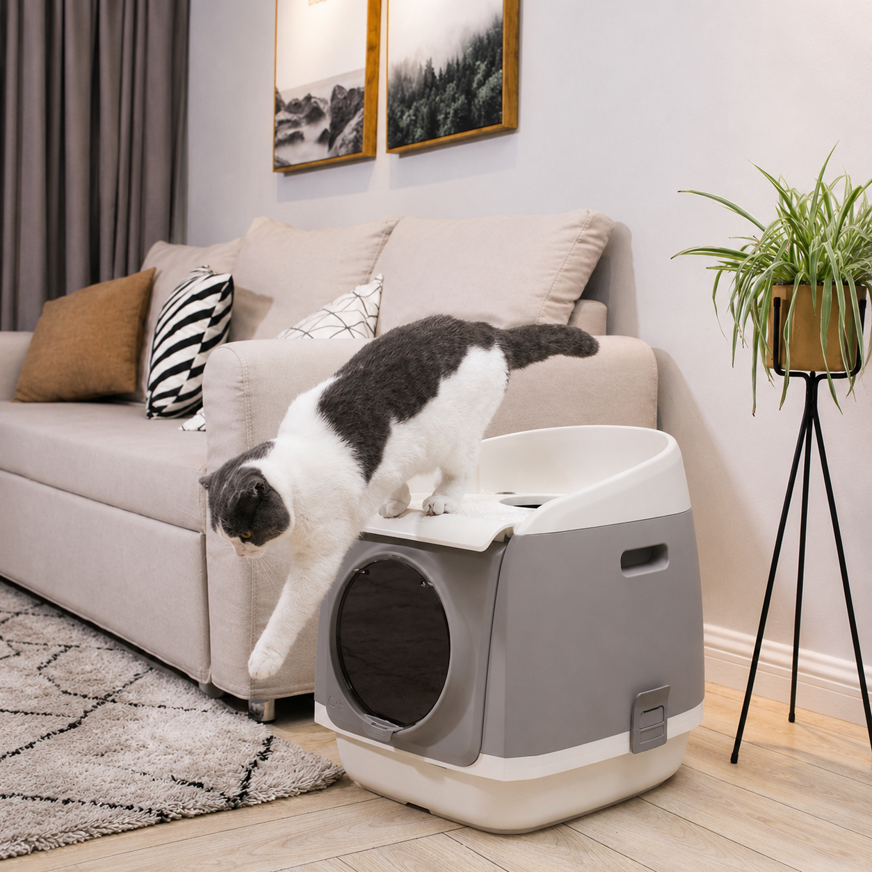 CatResidence-grau_4106-07-neu ChatGPT