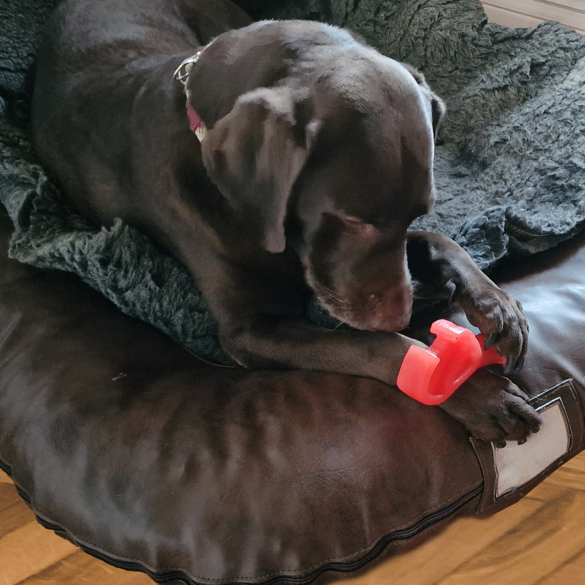 59973_dura_tug_steakonastick_5