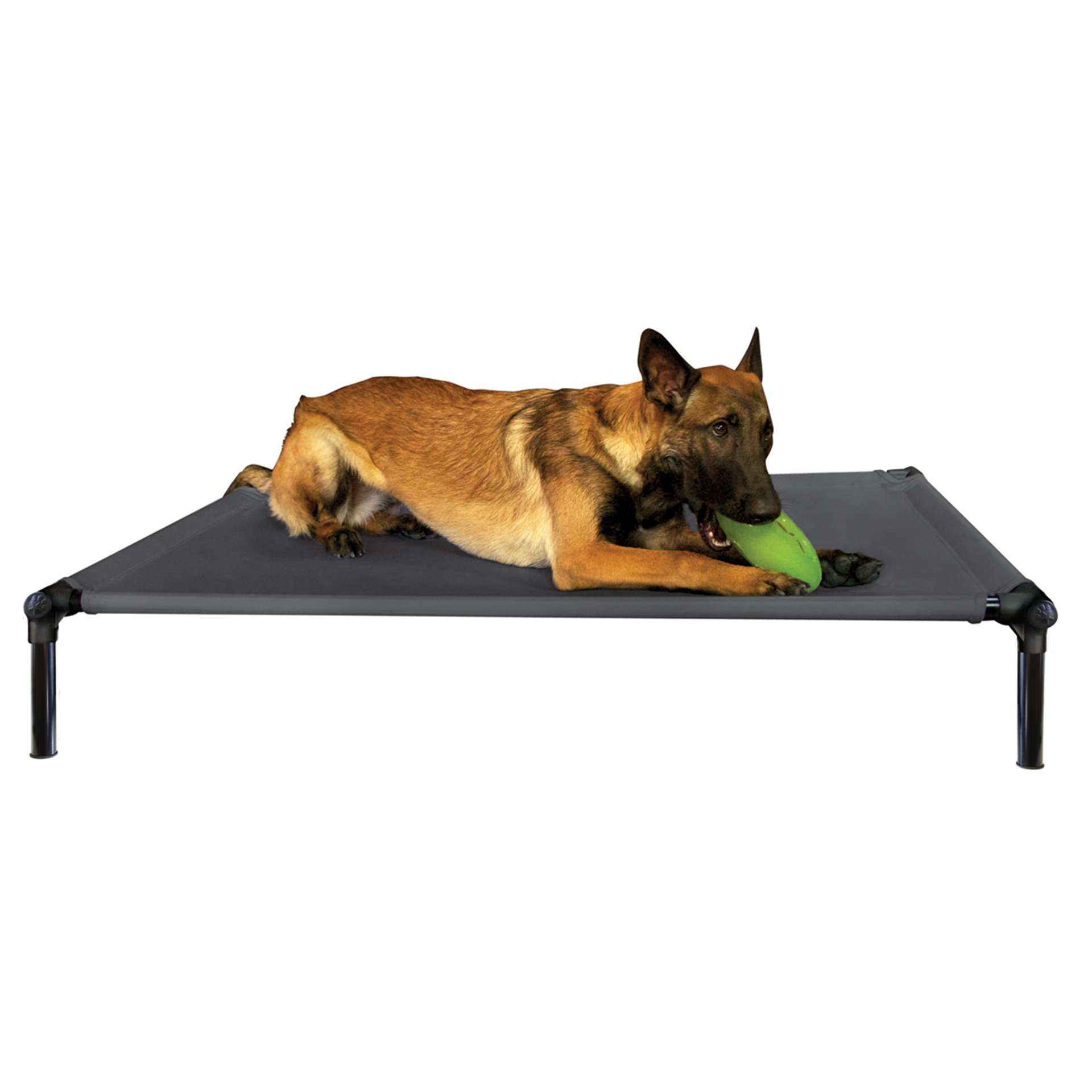 Dogzone_black_02gi6Uniz9XLzuP DogZone ProTraining Bett schwarz