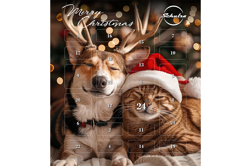 Adventskalender 2025 Adventskalender 2025