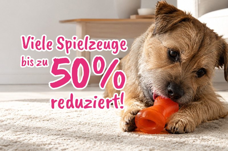B2C-Kachel Hund DE