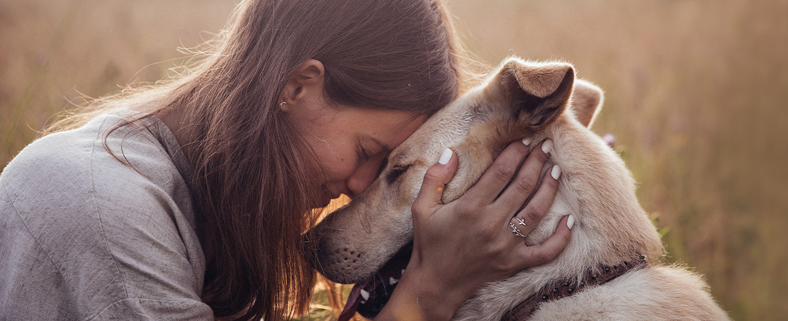 Hund-beissen-abgewoehnen Hund-beissen-abgewoehnen