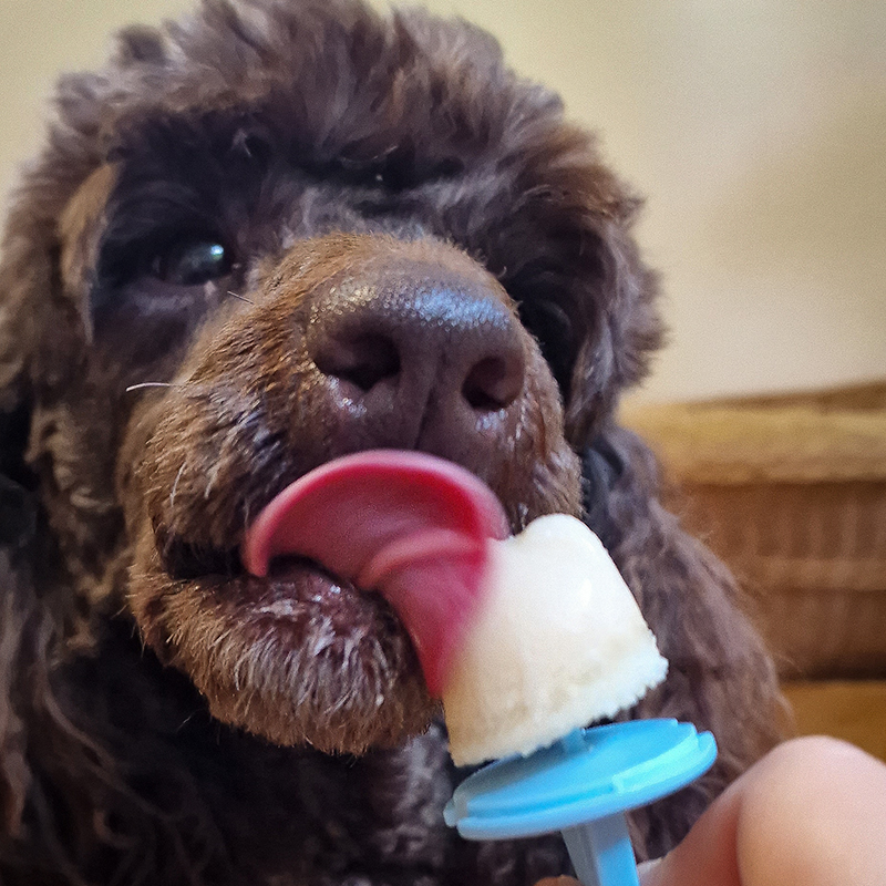 eismischung_pia-schmidt_1