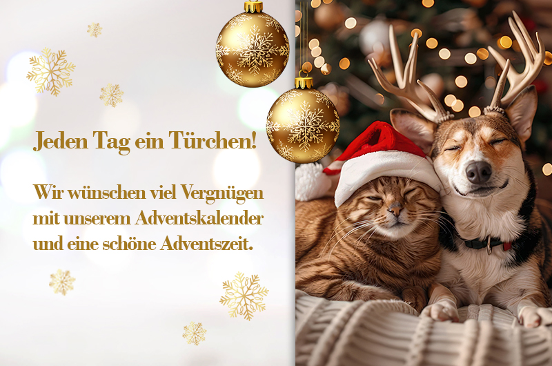 B2C Xmas Adventskalenderpromotion 2025 B2C Xmas Adventskalenderpromotion 2025