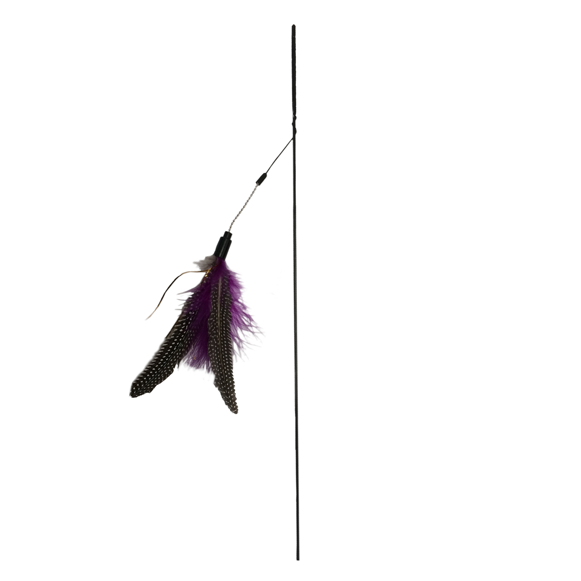 FlyingBird_48619_03